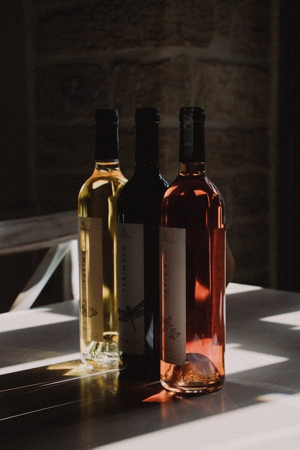 Top 10 vins incontournables de la vallée du rhône en 2024